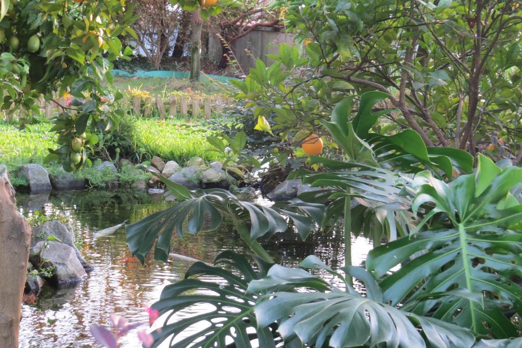 Sweet Home Braga Hostel & Guest House المظهر الخارجي الصورة